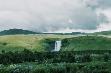 saira-vSr2rHSuXKA-unsplash